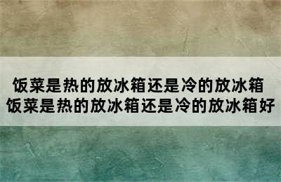 饭菜是热的放冰箱还是冷的放冰箱 饭菜是热的放冰箱还是冷的放冰箱好